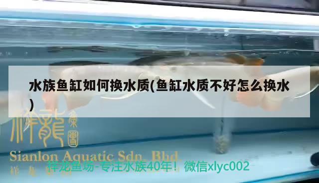 水族魚(yú)缸如何換水質(zhì)(魚(yú)缸水質(zhì)不好怎么換水) 蘇虎