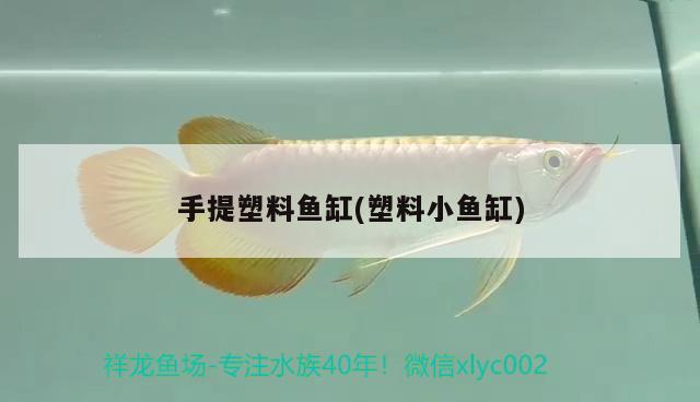 手提塑料魚缸(塑料小魚缸) 水族維護(hù)服務(wù)（上門）