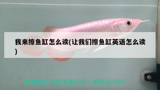 我來擦魚缸怎么讀(讓我們擦魚缸英語怎么讀) 水族雜談