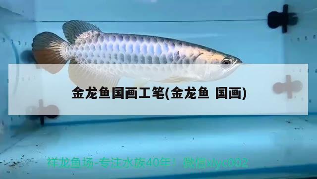 金龍魚國畫工筆(金龍魚國畫)