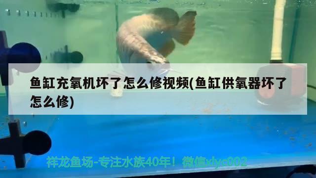 魚缸充氧機(jī)壞了怎么修視頻(魚缸供氧器壞了怎么修) 潛水泵