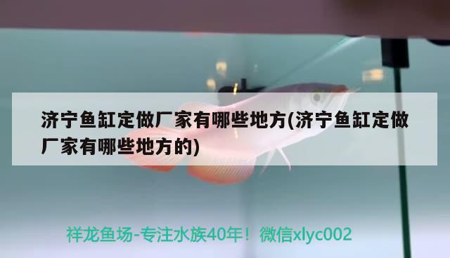 濟(jì)寧魚(yú)缸定做廠家有哪些地方(濟(jì)寧魚(yú)缸定做廠家有哪些地方的) 大正錦鯉魚(yú)