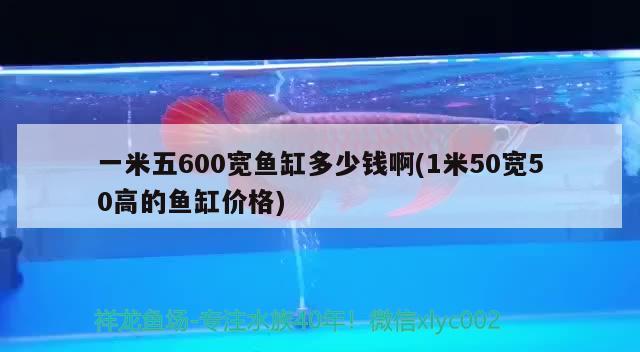 一米五600寬魚缸多少錢啊(1米50寬50高的魚缸價(jià)格)