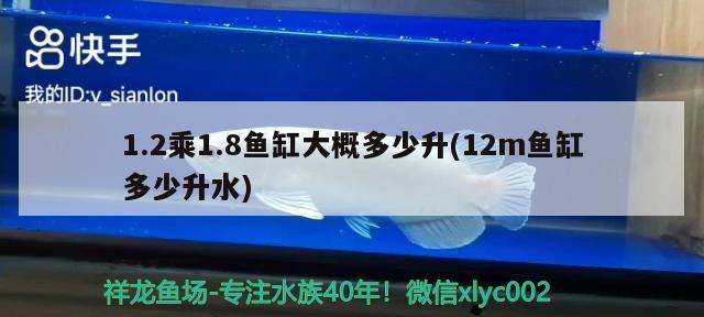 1.2乘1.8魚缸大概多少升(12m魚缸多少升水) 一眉道人魚