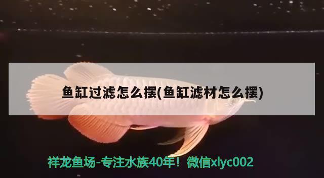 魚缸過濾怎么擺(魚缸濾材怎么擺) 元寶鳳凰魚專用魚糧