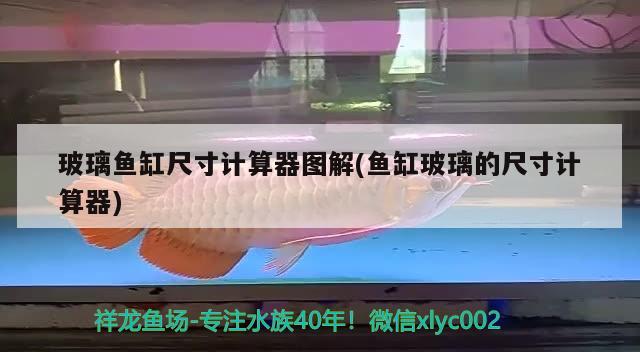 玻璃魚缸尺寸計算器圖解(魚缸玻璃的尺寸計算器) 馬拉莫寶石魚