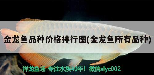 金龍魚(yú)品種價(jià)格排行圖(金龍魚(yú)所有品種) 鴨嘴鯊魚(yú)