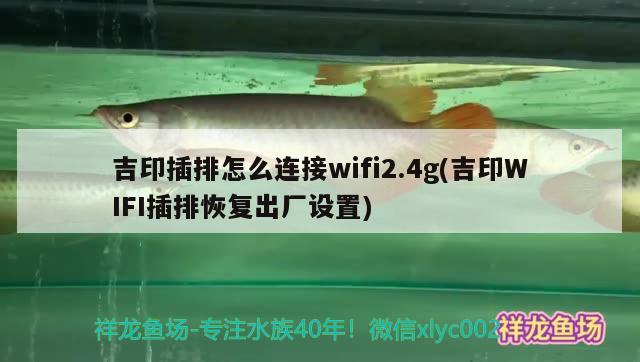 吉印插排怎么連接wifi2.4g(吉印WIFI插排恢復(fù)出廠設(shè)置)