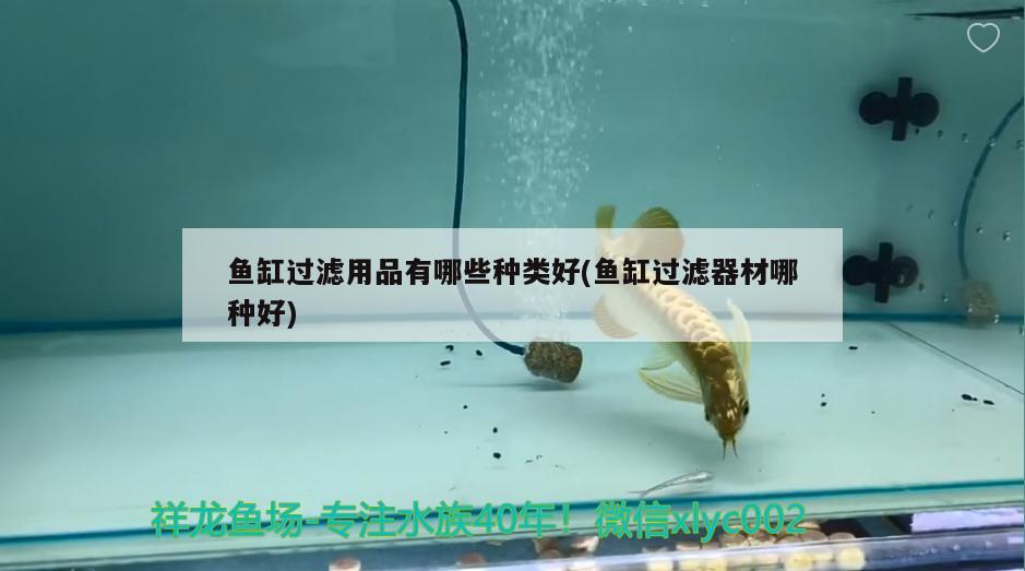 魚缸過濾用品有哪些種類好(魚缸過濾器材哪種好)