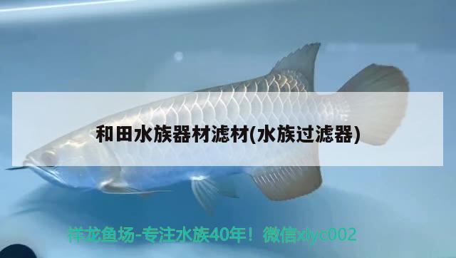 和田水族器材濾材(水族過(guò)濾器) 水族品牌