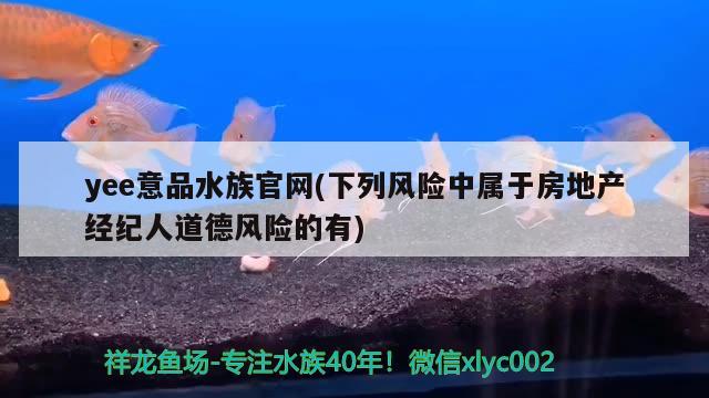 yee意品水族官網(wǎng)(下列風(fēng)險(xiǎn)中屬于房地產(chǎn)經(jīng)紀(jì)人道德風(fēng)險(xiǎn)的有) yee