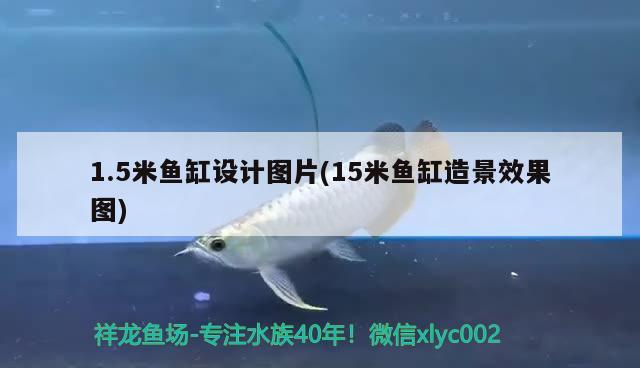 1.5米魚缸設(shè)計圖片(15米魚缸造景效果圖) 圣菲埃及魚