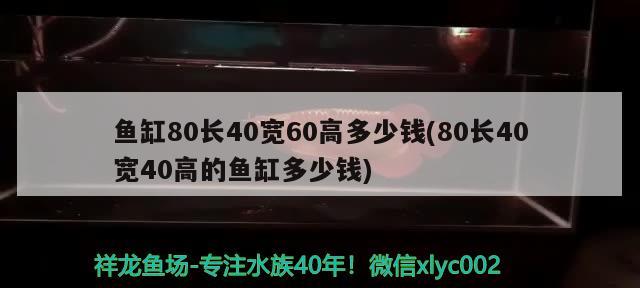 魚缸80長40寬60高多少錢(80長40寬40高的魚缸多少錢) 朱巴利魚苗