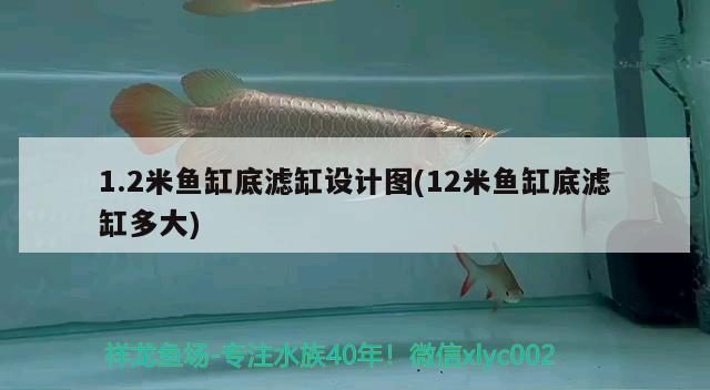 1.2米魚缸底濾缸設(shè)計(jì)圖(12米魚缸底濾缸多大)