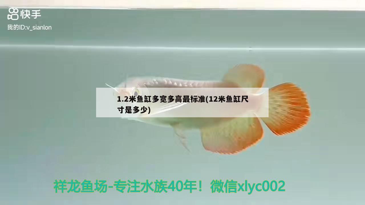 1.2米魚缸多寬多高最標(biāo)準(zhǔn)(12米魚缸尺寸是多少)