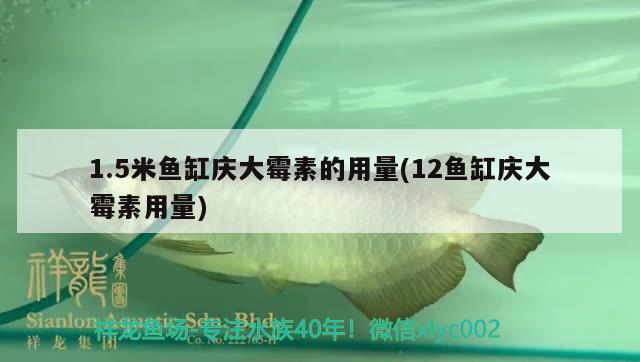 1.5米魚缸慶大霉素的用量(12魚缸慶大霉素用量) 巴西亞魚