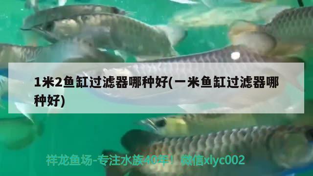 1米2魚缸過濾器哪種好(一米魚缸過濾器哪種好) 金龍福龍魚