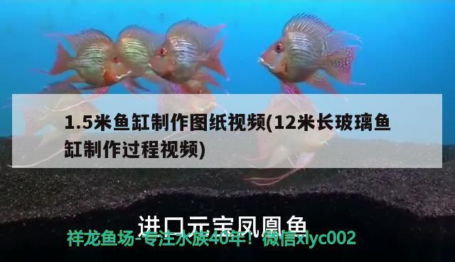 1.5米魚缸制作圖紙視頻(12米長玻璃魚缸制作過程視頻)