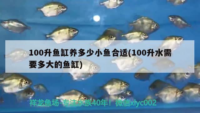 100升魚缸養(yǎng)多少小魚合適(100升水需要多大的魚缸)