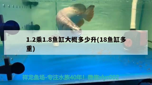 1.2乘1.8魚(yú)缸大概多少升(18魚(yú)缸多重)