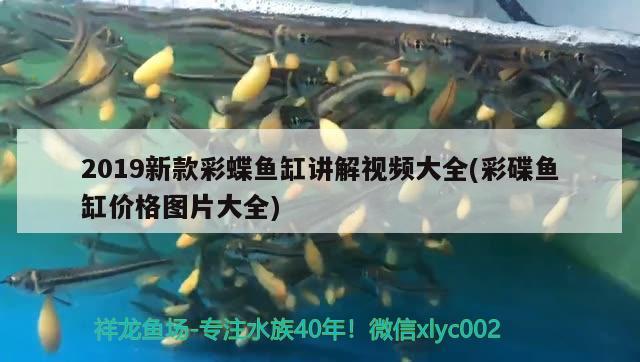 2019新款彩蝶魚缸講解視頻大全(彩碟魚缸價格圖片大全) 七彩神仙魚