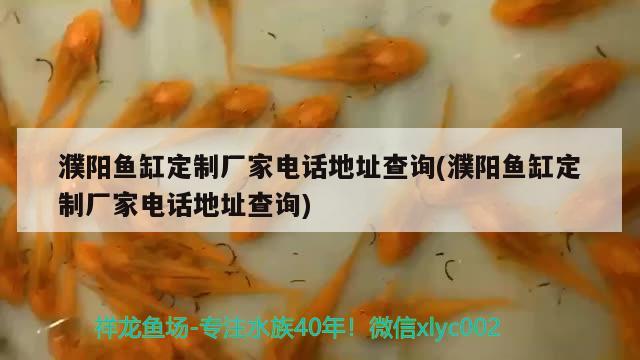 濮陽(yáng)魚(yú)缸定制廠家電話地址查詢(xún)(濮陽(yáng)魚(yú)缸定制廠家電話地址查詢(xún)) 觀賞魚(yú)魚(yú)苗