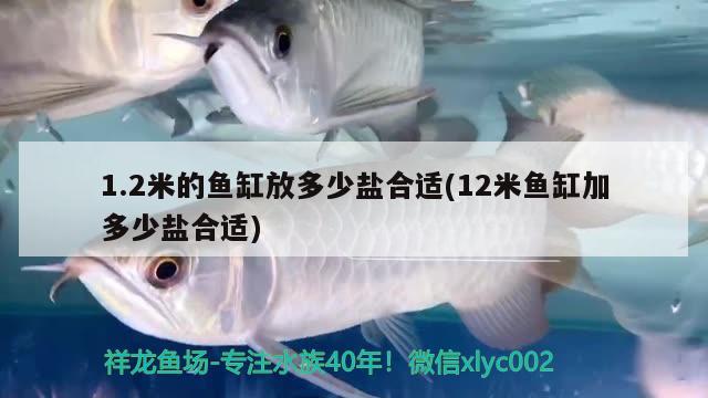 1.2米的魚缸放多少鹽合適(12米魚缸加多少鹽合適)