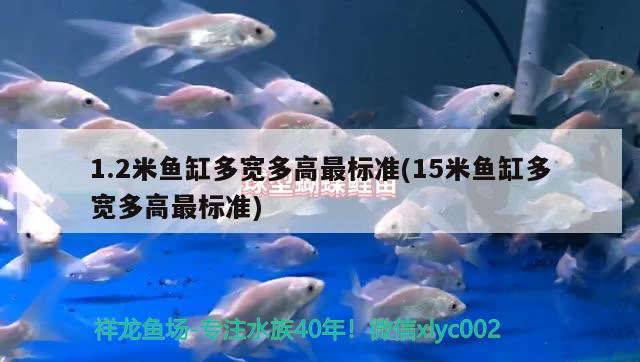 1.2米魚缸多寬多高最標(biāo)準(zhǔn)(15米魚缸多寬多高最標(biāo)準(zhǔn))