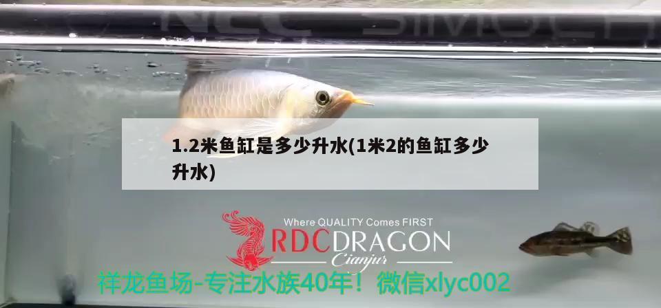 1.2米魚缸是多少升水(1米2的魚缸多少升水)