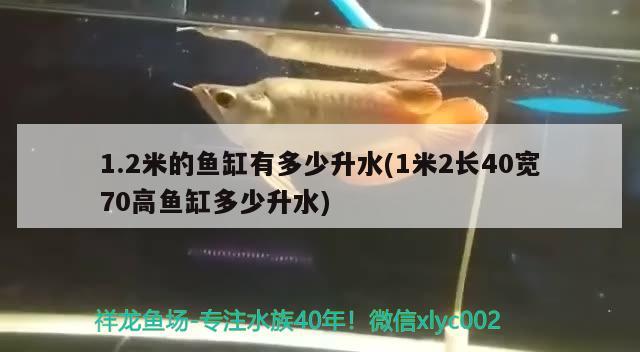 1.2米的魚缸有多少升水(1米2長40寬70高魚缸多少升水) 銀古魚苗