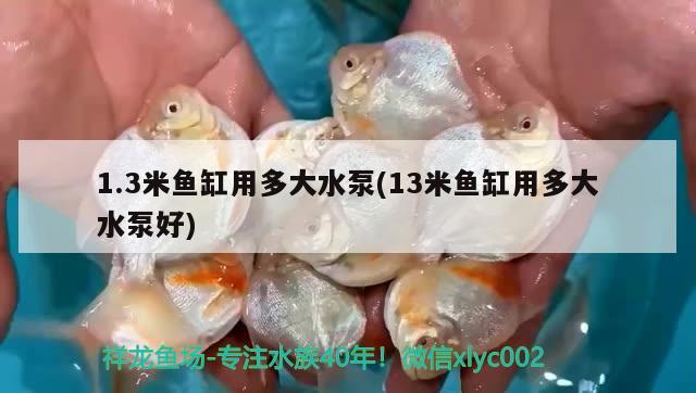 1.3米魚(yú)缸用多大水泵(13米魚(yú)缸用多大水泵好)