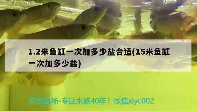 1.2米魚缸一次加多少鹽合適(15米魚缸一次加多少鹽)