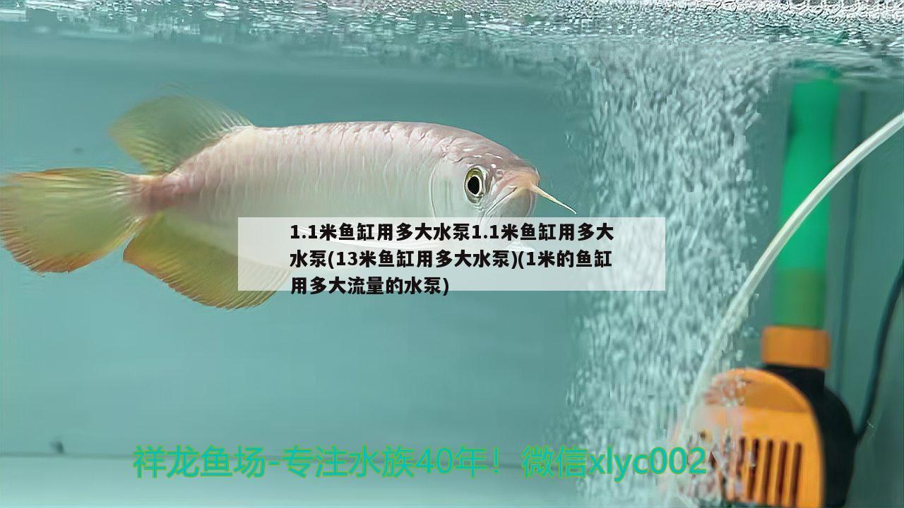 1.1米魚缸用多大水泵1.1米魚缸用多大水泵(13米魚缸用多大水泵)(1米的魚缸用多大流量的水泵)