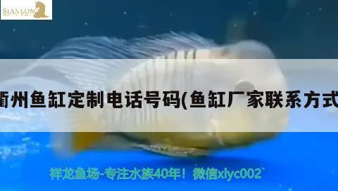 衢州魚缸定制電話號碼(魚缸廠家聯(lián)系方式) 白子黃化銀龍魚