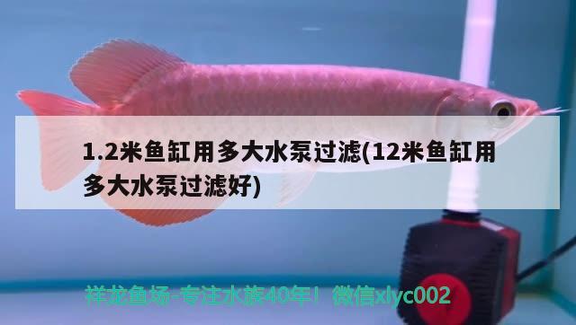 1.2米魚(yú)缸用多大水泵過(guò)濾(12米魚(yú)缸用多大水泵過(guò)濾好)