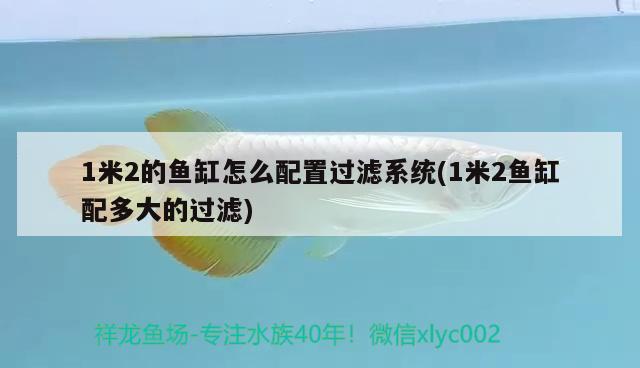 1米2的魚缸怎么配置過濾系統(tǒng)(1米2魚缸配多大的過濾) 孵化器