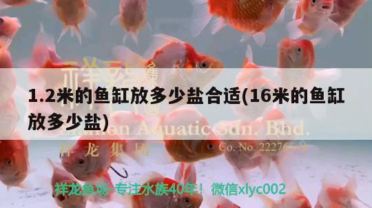 1.2米的魚(yú)缸放多少鹽合適(16米的魚(yú)缸放多少鹽) 魚(yú)缸風(fēng)水