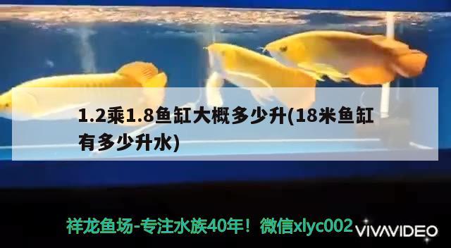 1.2乘1.8魚(yú)缸大概多少升(18米魚(yú)缸有多少升水)