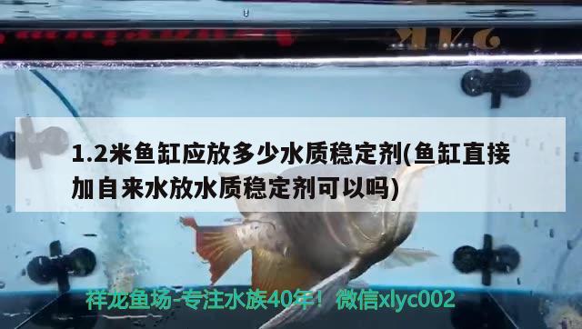 1.2米魚缸應放多少水質穩(wěn)定劑(魚缸直接加自來水放水質穩(wěn)定劑可以嗎) 檸檬鯽