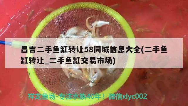 昌吉二手魚缸轉(zhuǎn)讓58同城信息大全(二手魚缸轉(zhuǎn)讓_二手魚缸交易市場) 黃金達(dá)摩魚