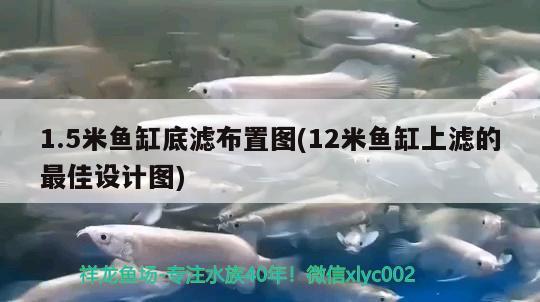 1.5米魚缸底濾布置圖(12米魚缸上濾的最佳設(shè)計圖)