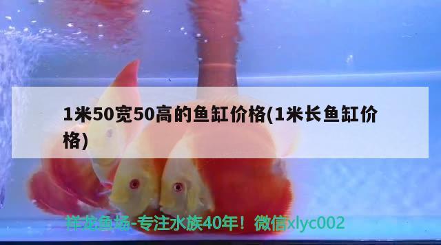 1米50寬50高的魚缸價格(1米長魚缸價格)