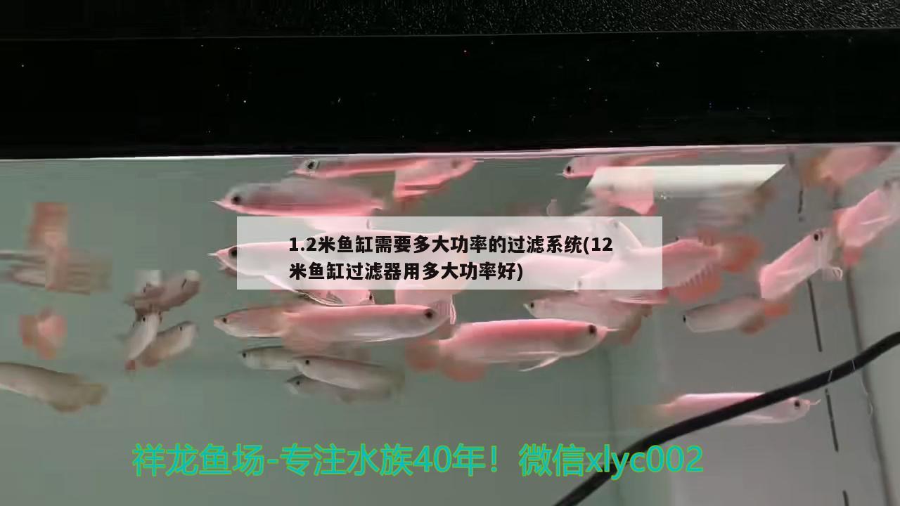 1.2米魚缸需要多大功率的過濾系統(tǒng)(12米魚缸過濾器用多大功率好)