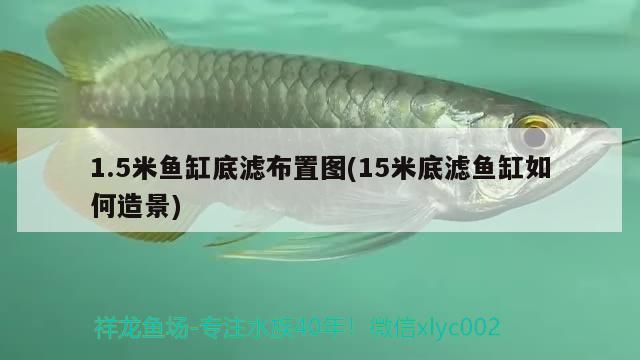 1.5米魚缸底濾布置圖(15米底濾魚缸如何造景)