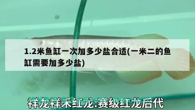 1.2米魚(yú)缸一次加多少鹽合適(一米二的魚(yú)缸需要加多少鹽) 眼斑魚(yú)