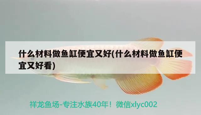 什么材料做魚缸便宜又好(什么材料做魚缸便宜又好看) 大白鯊魚