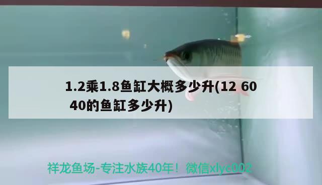 1.2乘1.8魚(yú)缸大概多少升(126040的魚(yú)缸多少升)