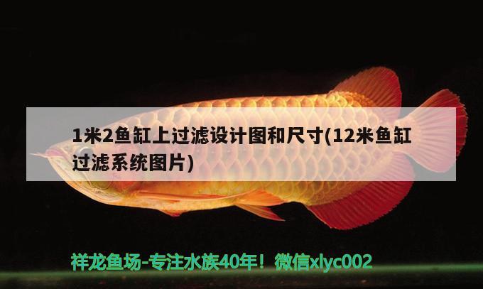 1米2魚缸上過濾設(shè)計(jì)圖和尺寸(12米魚缸過濾系統(tǒng)圖片)