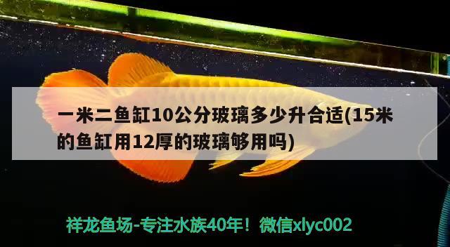 一米二魚缸10公分玻璃多少升合適(15米的魚缸用12厚的玻璃夠用嗎) 銀龍魚苗