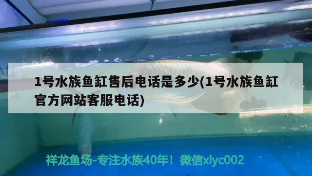 1號水族魚缸售后電話是多少(1號水族魚缸官方網(wǎng)站客服電話)